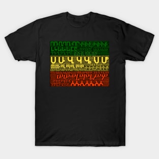 Ethiopian flag Geez Amharic alphabet T-Shirt